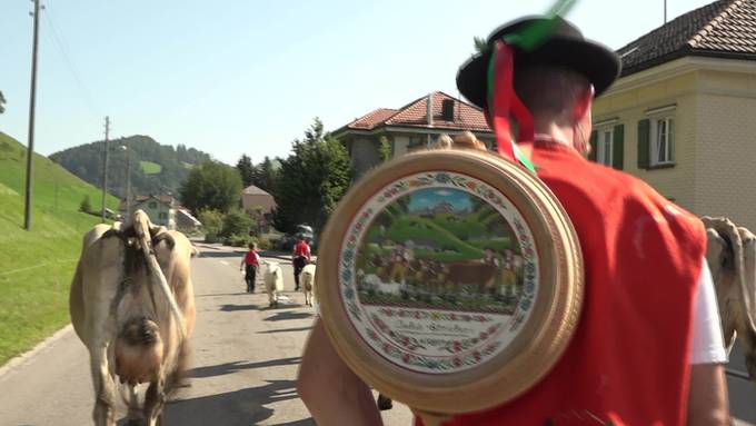 Alpabfahrt: Erste Sennen kommen mit Tieren zurück ins Tal