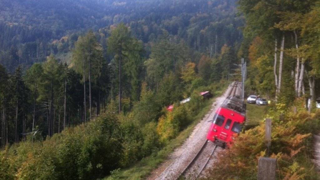 Die Lokomotive prallte in einem Masten der Fahrleitung, der Wagen landete neben der Zugstrecke zwischen Sainte-Croix und Yverdon-les-Bains im Waadtländer Jura.