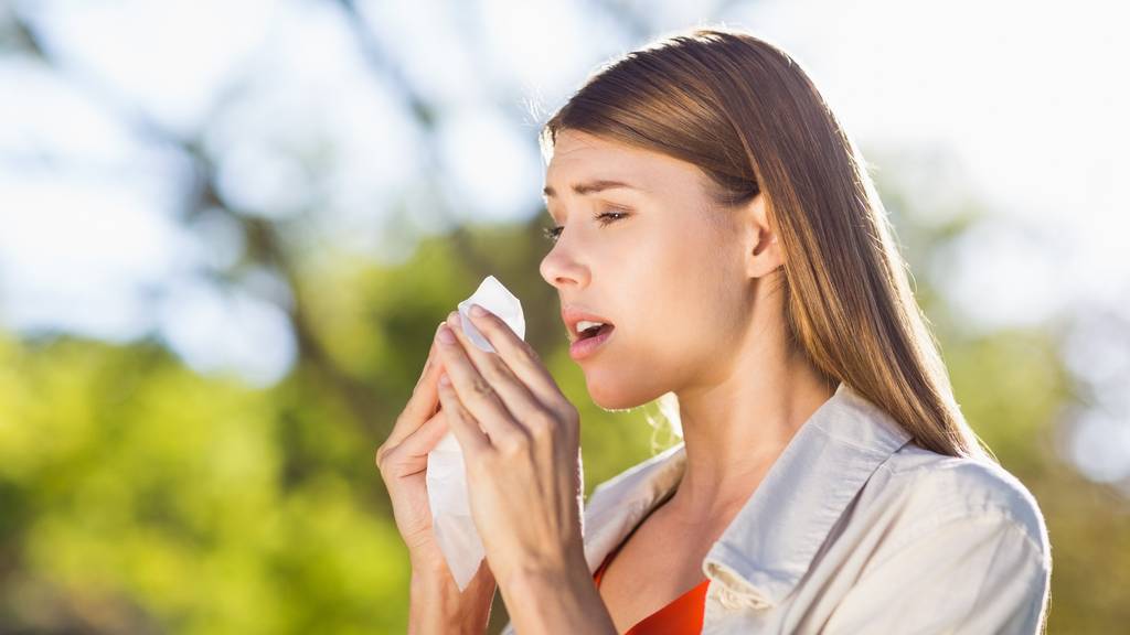 Viele Allergikerinnen und Allergiker haben bald wieder mit Pollen zu kämpfen.