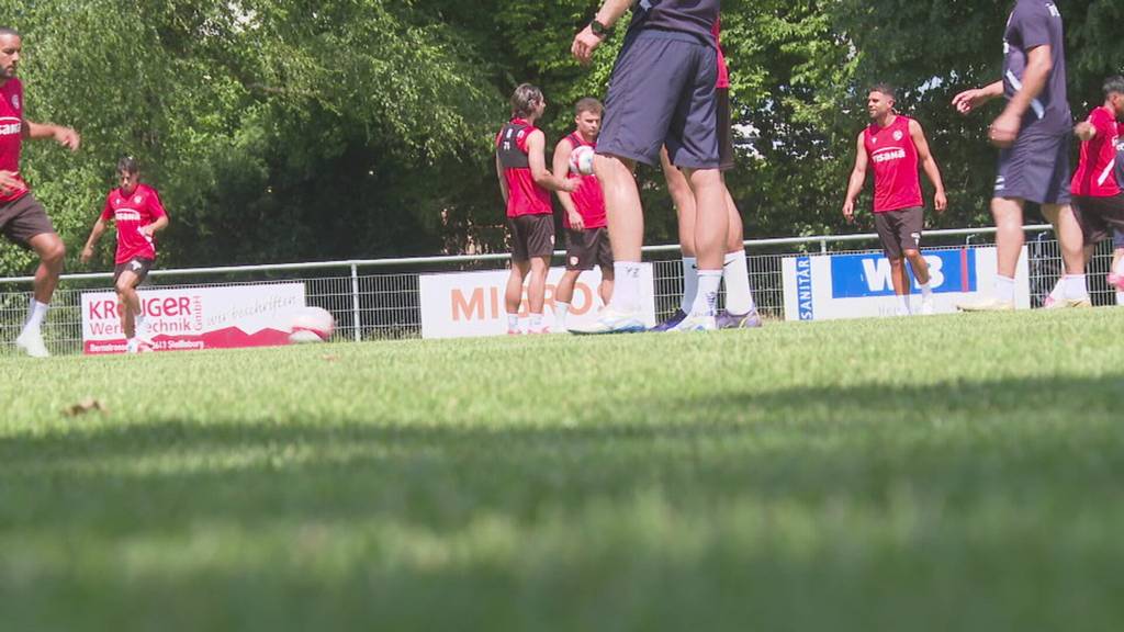 Neues Terrain für den FC Thun