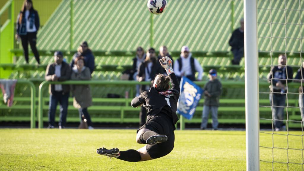Der Sportplatz der FCZ Frauen verfügt über eine kleine Tribüne. Nun soll ein Dach her, findet das Stadtzürcher Parlament. (Archivbild)