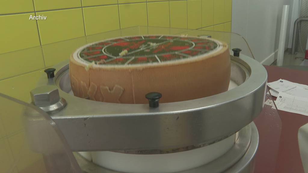 Thurgauer Käserei Studer kämpft mit Listerien