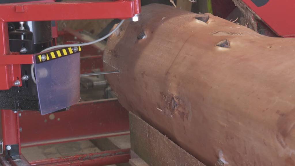 Sonderauftrag: 100-Meter-Bänkli fürs Trachtenchorfest in Sursee