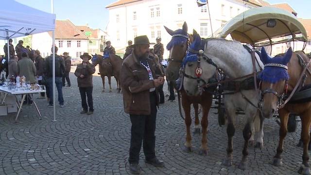 Weder mit Auto noch mit ÖV