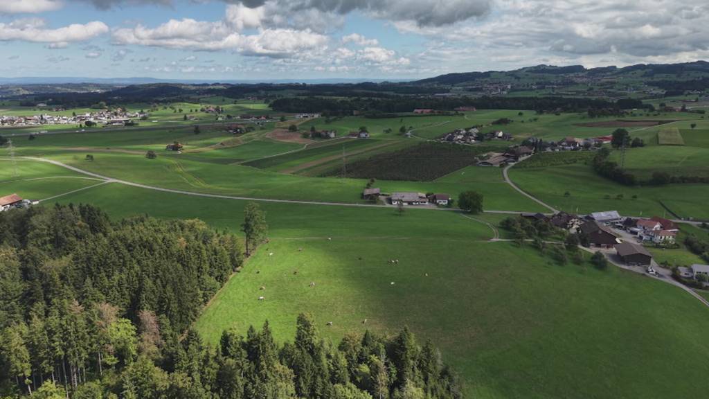 Futtermangel weiter dramatisch: Bund greift zu Notmassnahme