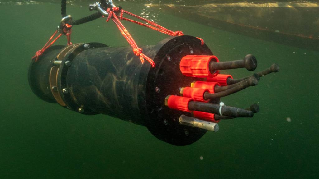 Plankton-Aufnahmen der Unterwasserkamera Aquascope im Greifensee dienten als Trainingsmaterial für die Deep-Learning-Modelle.
