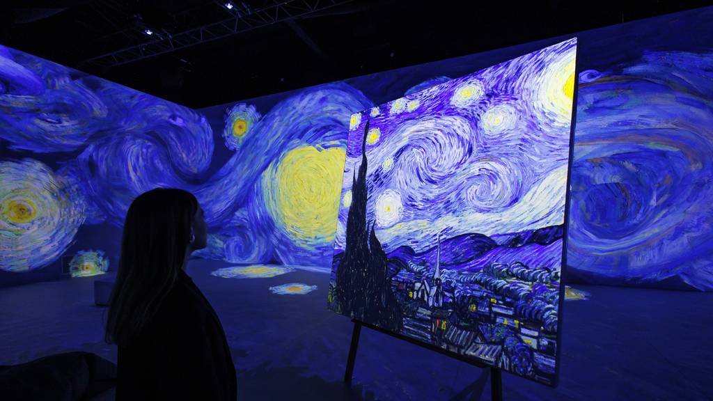 Vincent - Zwischen Wahn Und Wunder