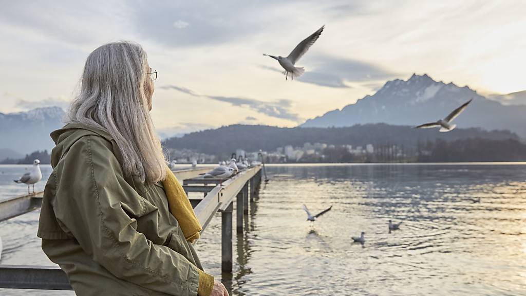 Pensionskassen mit guter Leistung und höherem Deckungsgrad