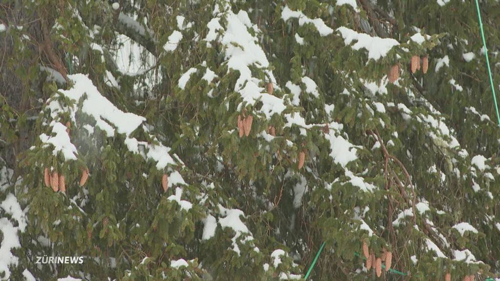 Skigebiete jubeln über Winter-Comeback