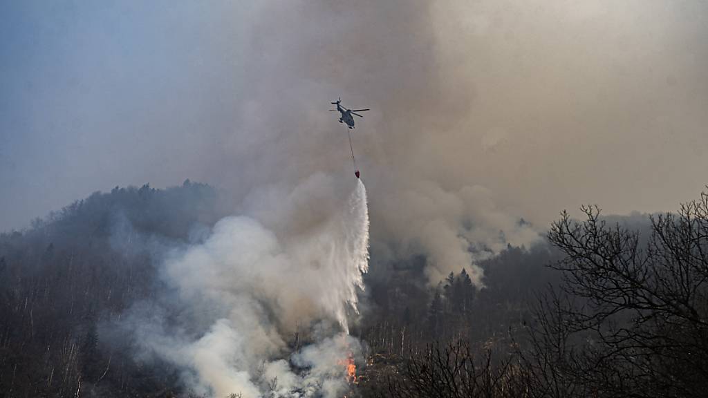 Waldbrand im Centovalli zu einem Grossteil gelöscht