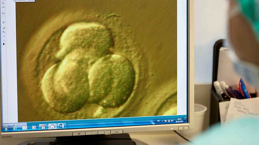 In einem Patientendossier können etwa diagnostische Bilder abgerufen werden. (Symbolbild)