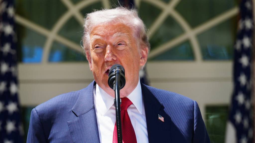 US-Präsident Donald Trump spricht im Rosengarten des Weißen Hauses in Washington. Foto: Jacquelyn Martin/AP/dpa
