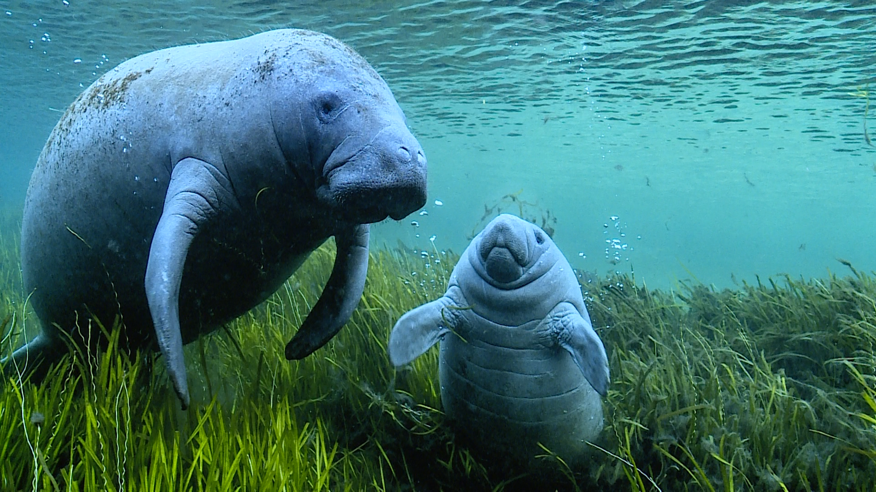Ausstellung «Wildlife Photographer of the Year»