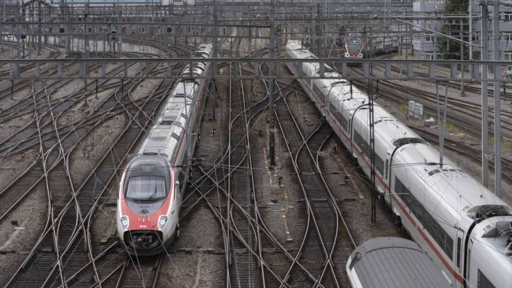 Züge wie hier links im Bild werden unter anderem auf der Strecke nach München eingesetzt. Im Bild ist eine Komposition beim Zürcher Hauptbahnhof zu sehen. (Archivbild)