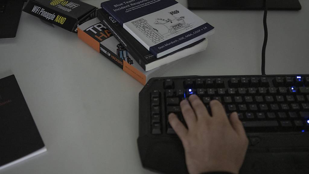 Hackerangriffe nach politischen Ereignissen hatten im ersten Halbjahr zweimal Websites des Bundes im Visier. (Symbolbild)
