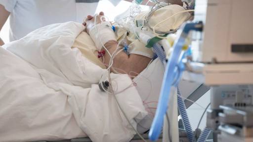 Sepsis-Gefahr wird laut Fachleuten in der Schweiz unterschätzt