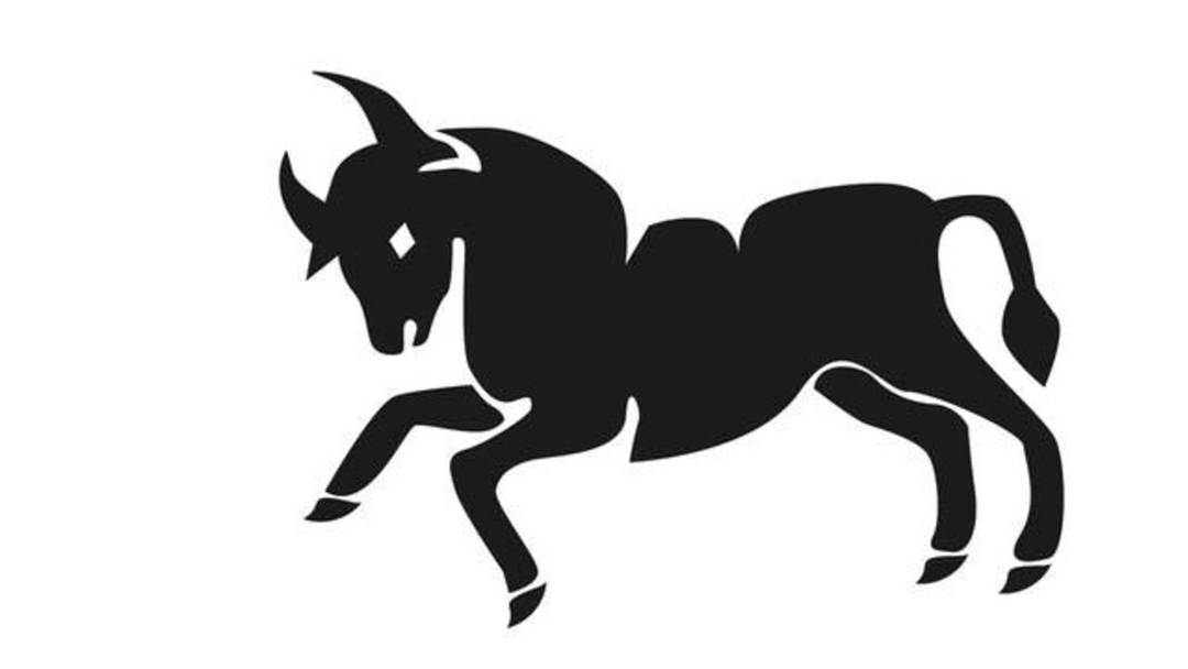 Annual horoscope 2021: Taurus