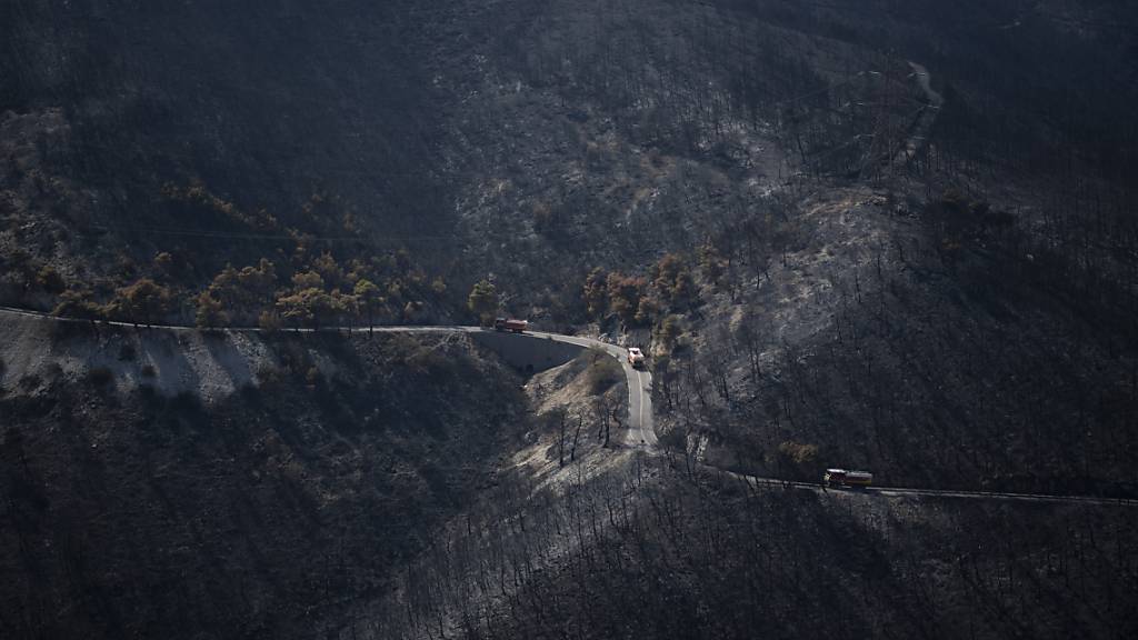 dpatopbilder - Feuerwehrautos fahren über eine Straße in einem verbrannten Wald in der Nähe des Vororts Fyli. (Archiv) Foto: Michael Varaklas/AP/dpa