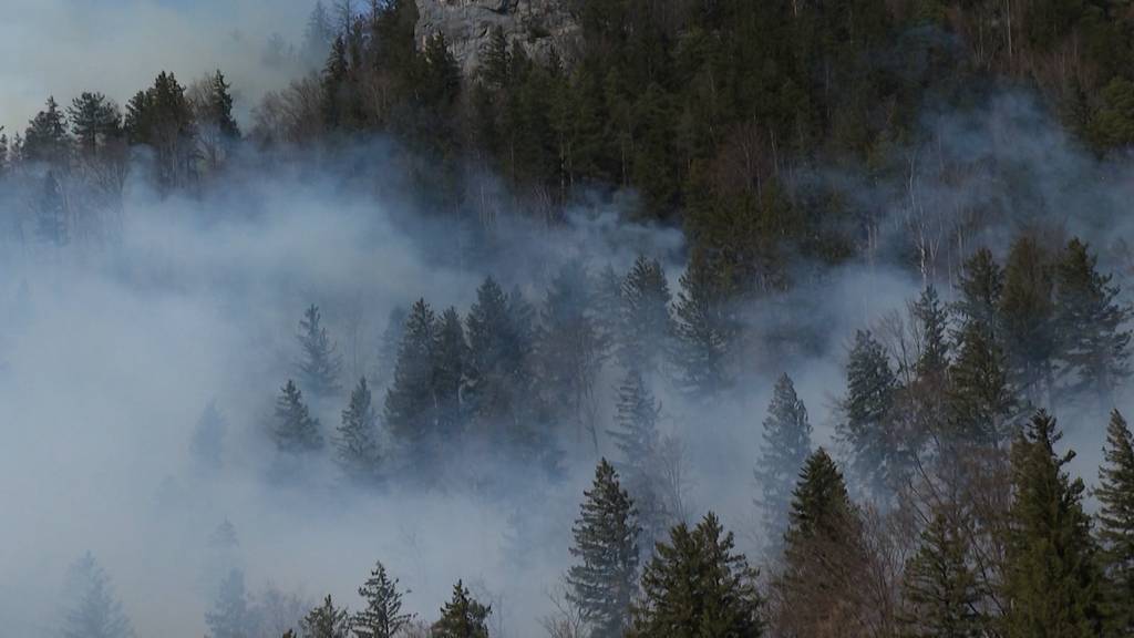 Waldbrand in Meiringen