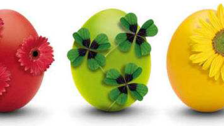 Ostern: Warum legen Hühner braune oder weisse Eier?