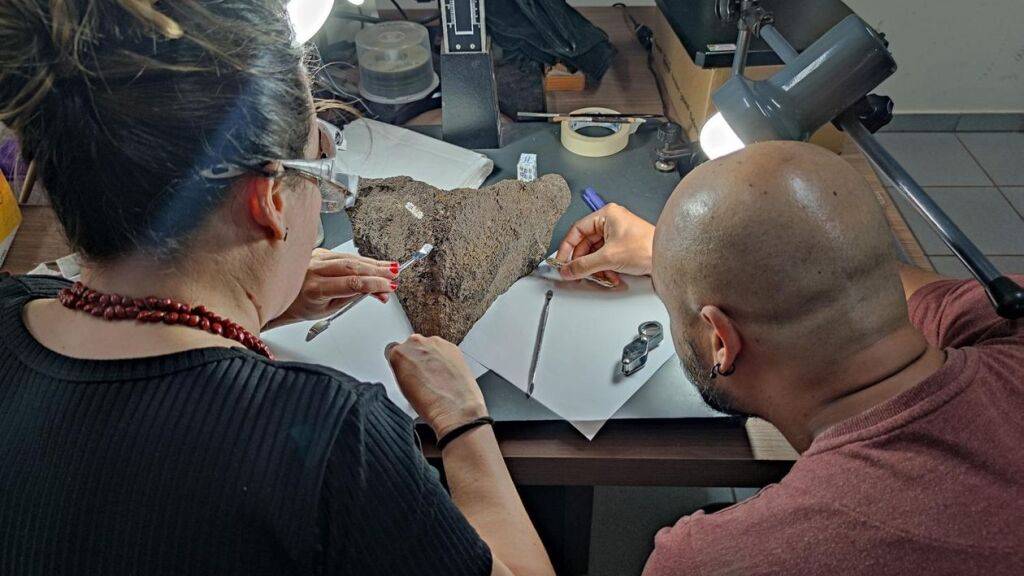 Erstautor Gabriel Ferreira (rechts) entnimmt Proben von den Fossilien für die geochemischen Analysen.