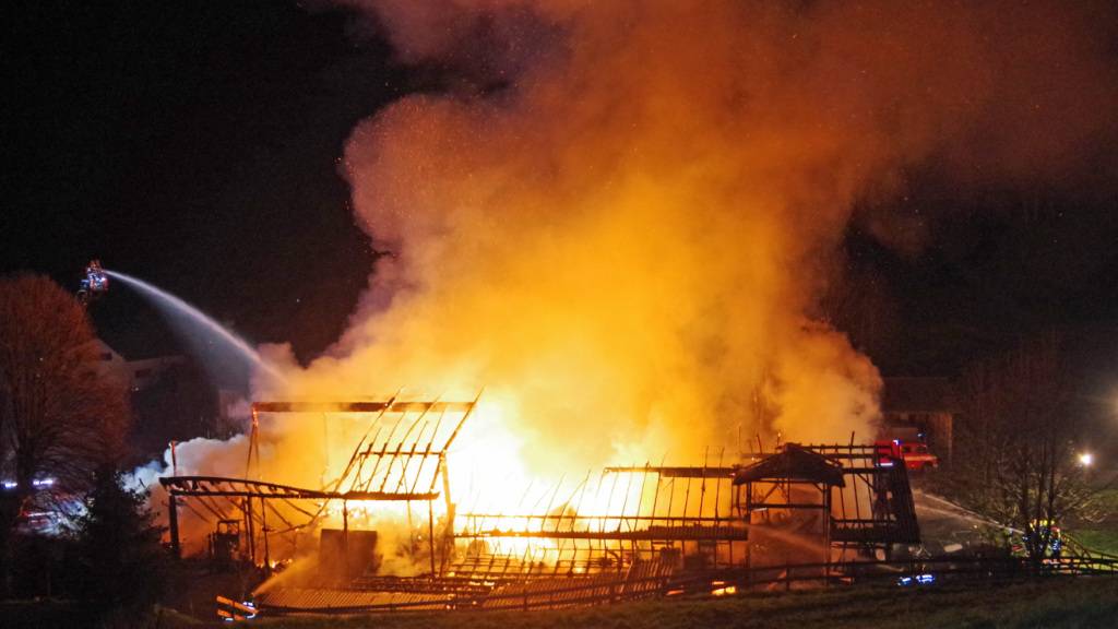 Beim Scheunenbrand in Richenthal verendeten am frühen Samstagmorgen mehrere Dutzend Tiere.