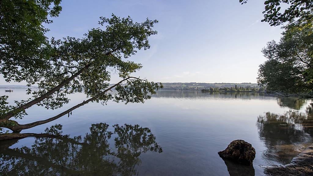 Die Wasserqualität in diversen Zentralschweizer Seen ist laut der Aufsichtskommission Vierwaldstättersee einwandfrei. So auch im Sempachersee. (Archivbild)