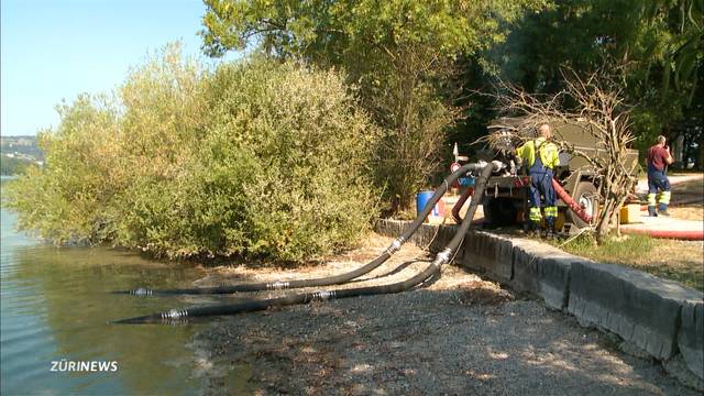 Seewasser für Zürcher Bauern dank Feuerwehr