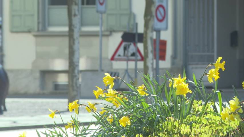 Sparhammer im Thurgau: Bevölkerung dürfte es zu spüren bekommen