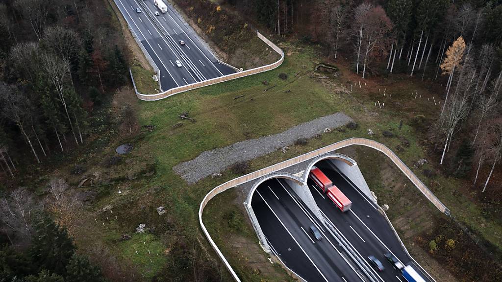 Ein Wildtierkorrridor, der über die Autobahn A1 führt. (Archivaufnahme)