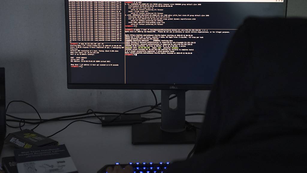 Russische Hacker greifen Regierungswebsite Liechtensteins an