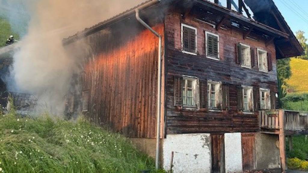 Beim Wohnhausbrand in Nebikon verletzte sich am Samstagabend eine Person.