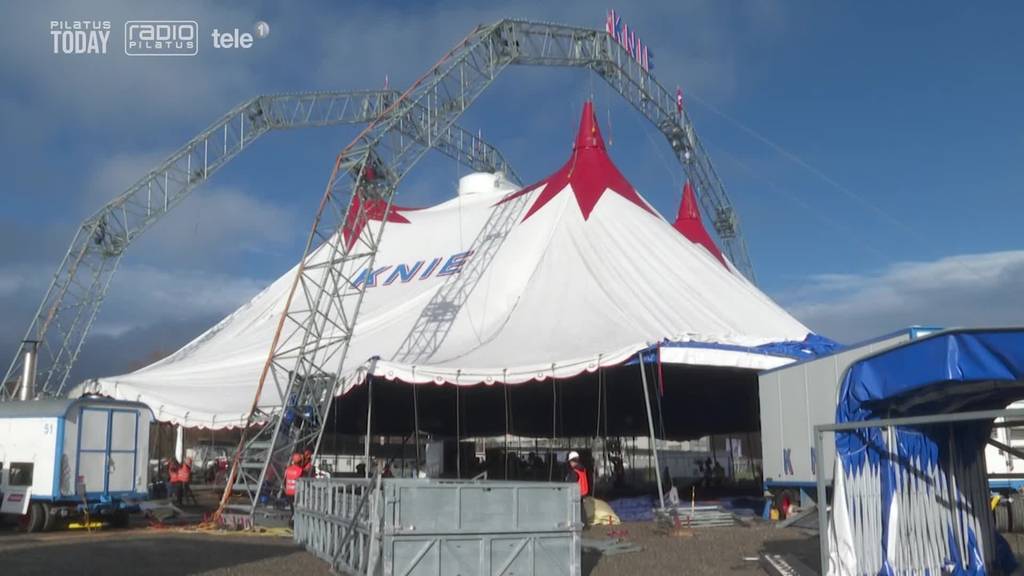 Circus Knie schlägt sein Zelt in der Allmend auf