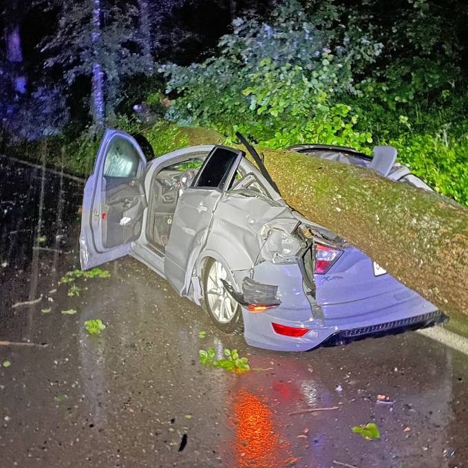 Tonnenschwerer Baum stürzt auf fahrendes Auto – Frau verletzt