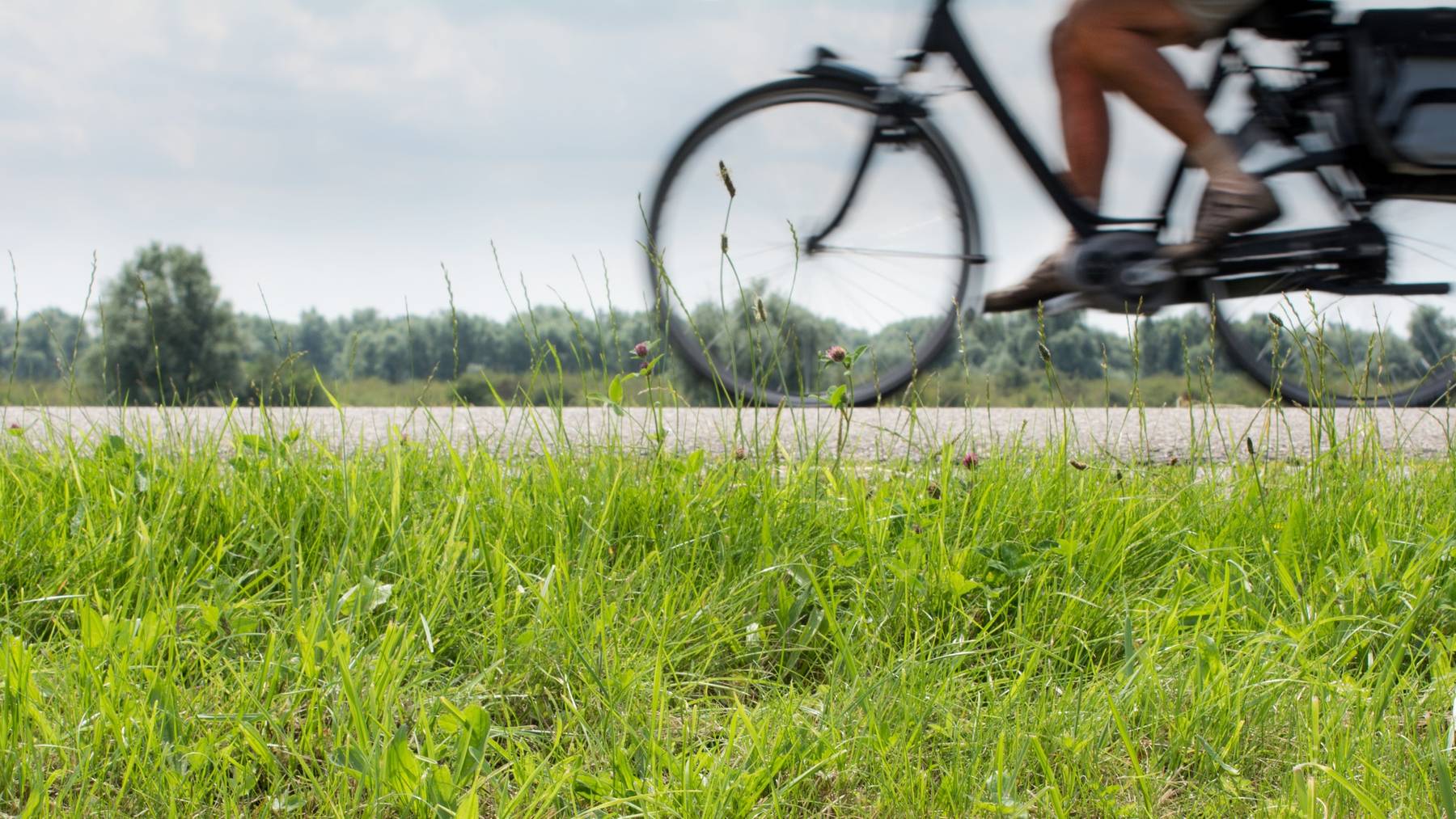 Alkohol Promille Fahrrad Schweiz