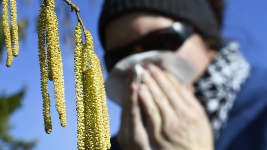 Die Pollensaison ist eröffnet – damit hältst du den Heuschnupfen in Grenzen