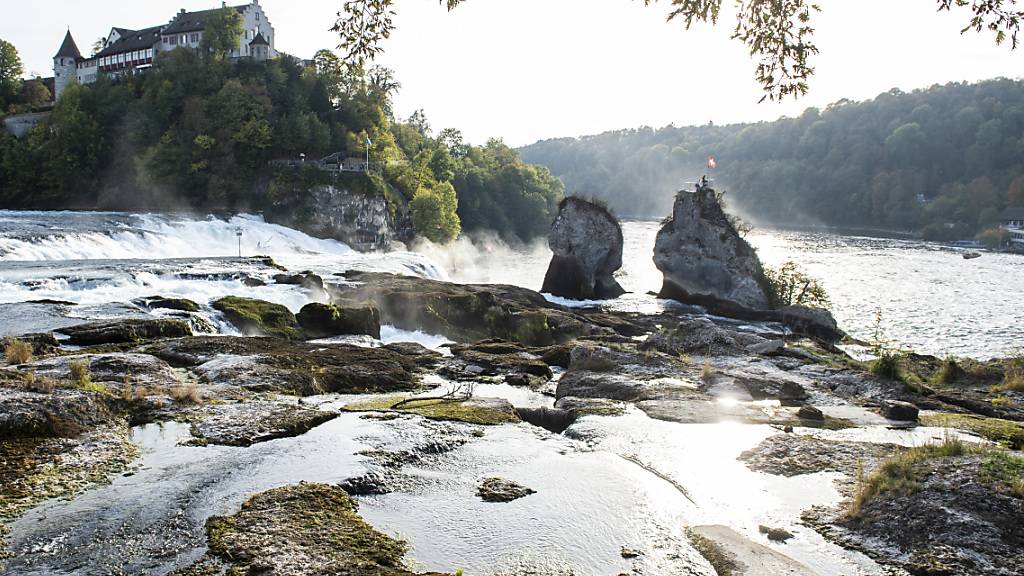 Wenig Wasser am Rheinfall wie hier 2018 dürfte künftig häufiger vorkommen. Denn die Sommer werden aufgrund des Klimawandels trockener und heisser. (Archivbild)