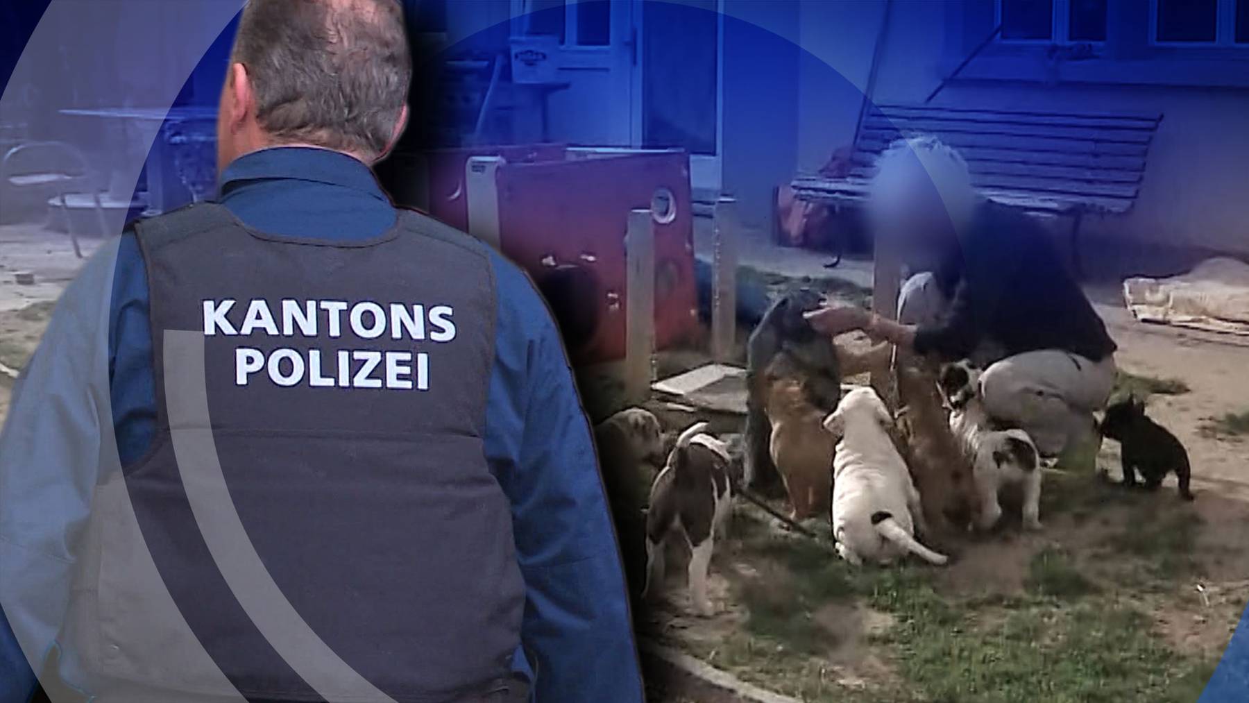 Hunde definitiv weg