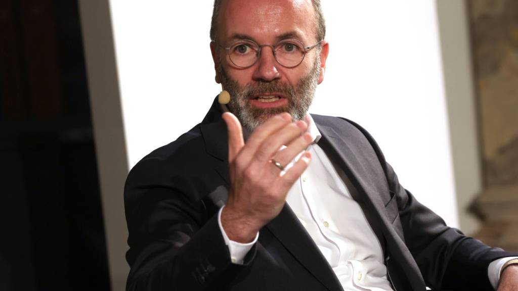 ARCHIV - Manfred Weber (CSU), Vorsitzender der EVP, spricht bei einer Podiumsdiskussion mit dem Titel «Wir in Europa». Foto: Karl-Josef Hildenbrand/dpa