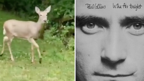 Phil Collins - In The Air Tonight - Reh