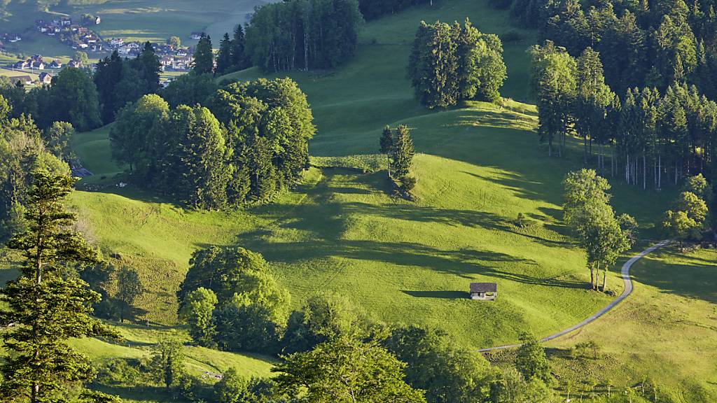 Landrat will den Nidwaldner Wald besser schützen