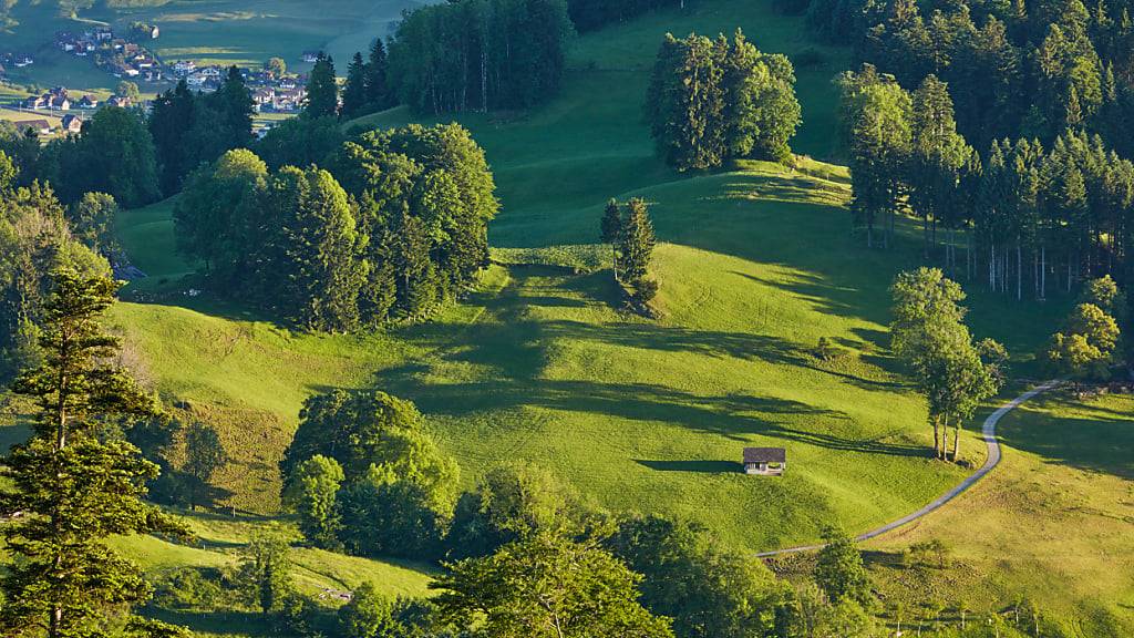 Nidwalden revidiert sein Waldgesetz in einer Teilreform. Das Bild zeigt das Lehmattalpeli auf dem Bürgenberg ob Ennetbürgen. (Archivaufnahme)