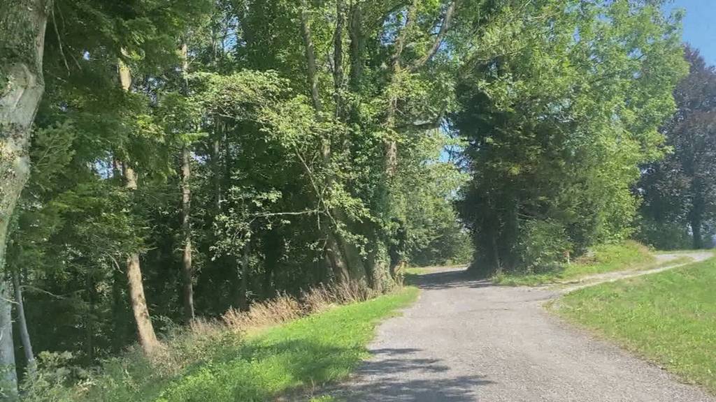 Waldsheriff in Solothurner Wäldern