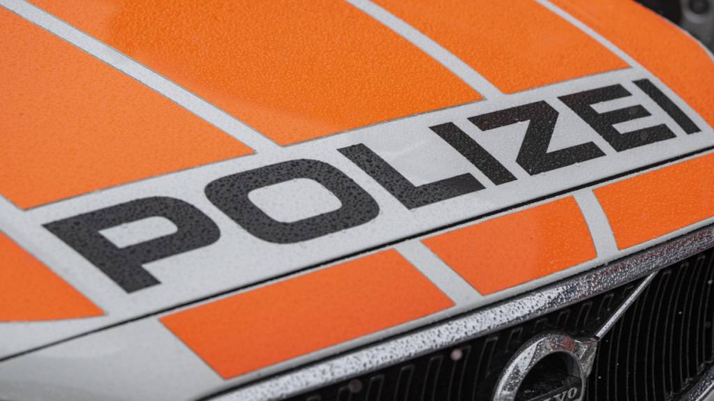 Schwyzer Polizei nimmt 19-Jährigen nach Garageneinbrüchen fest