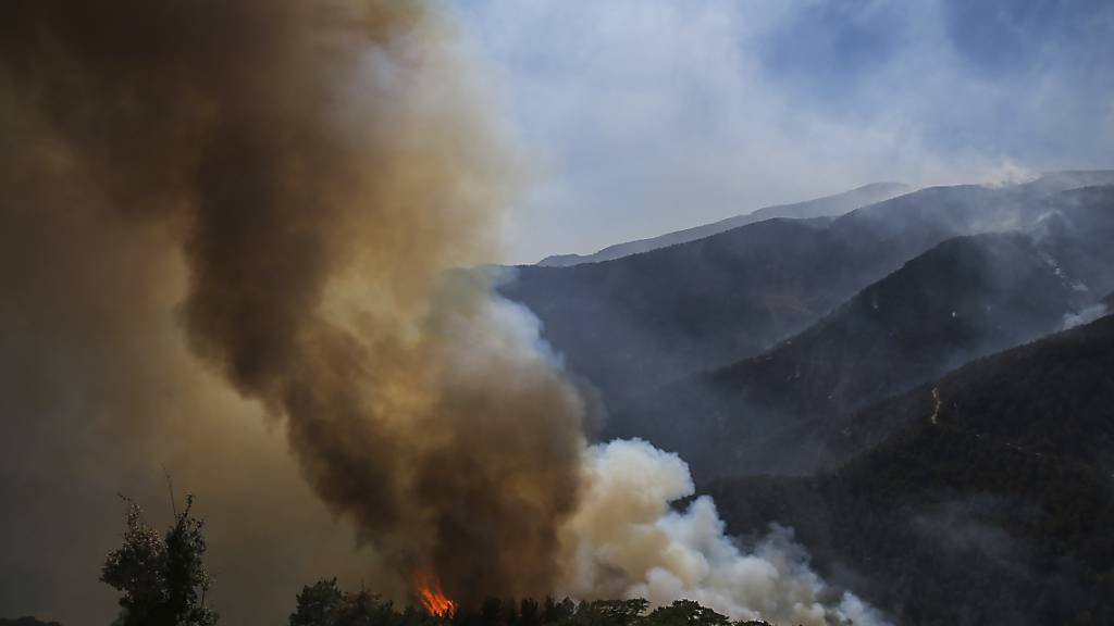 Rauch und Flammen steigen empor während eines Waldbrandes in Koycegiz, in der Provinz Mugla im Südwesten der Türkei. Seit dem 28. Juli kämpfen Einsatzkräfte gegen die massiven Waldbrände inmitten einer heftigen Hitzewelle. Foto: Emre Tazegul/AP/dpa