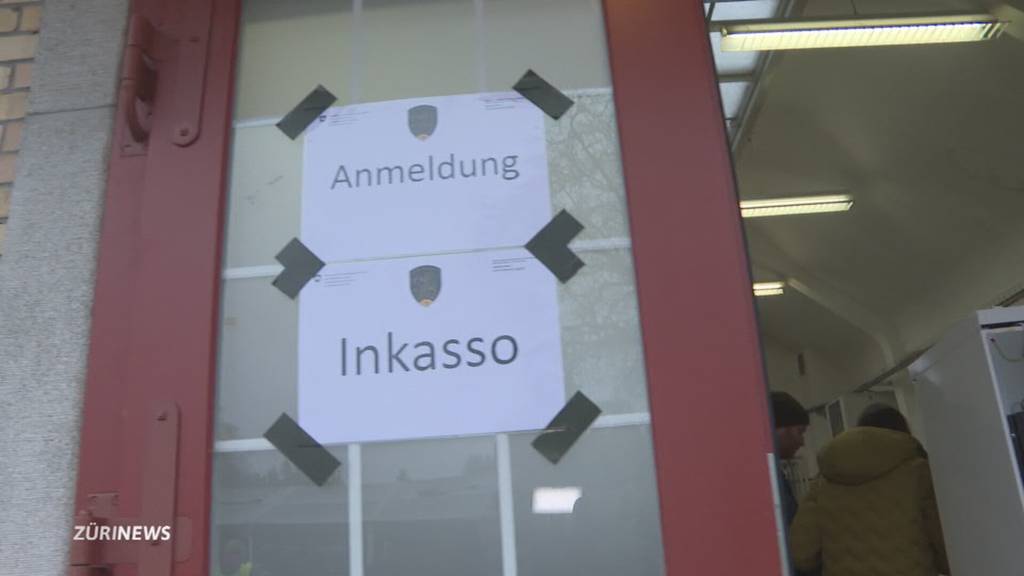 Neues Leben: Pferde vom Horror-Hof Ramiswil versteigert