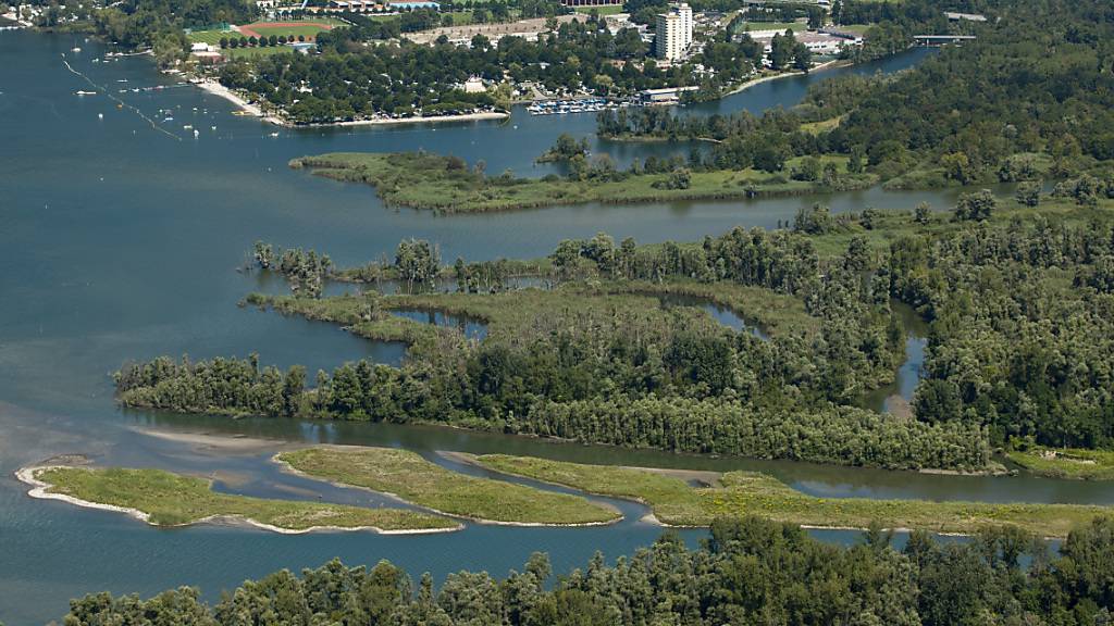 Die Überreste des seit 2004 vermissten Mannes lagen im Naturschutzgebiet Bolle di Magadino. (Archivbild)
