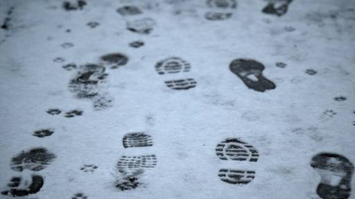 Freiburger Polizei schnappt Waffendiebe