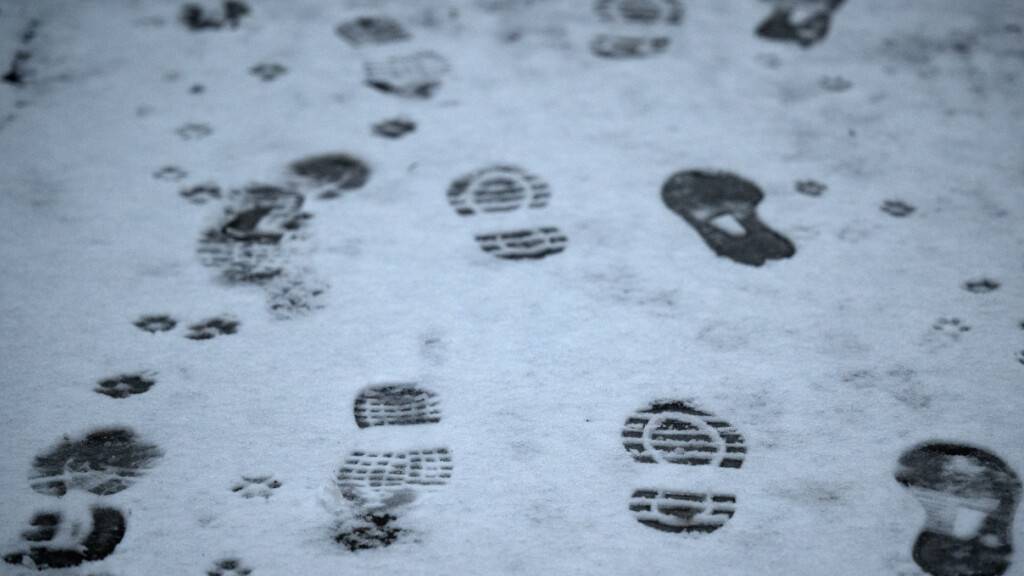 Die Freiburger Polizei hat vier Männer geschnappt. Sie begingen im letzten November Einbrüche in den Kantonen Freiburg und Waadt. (Symbolbild)