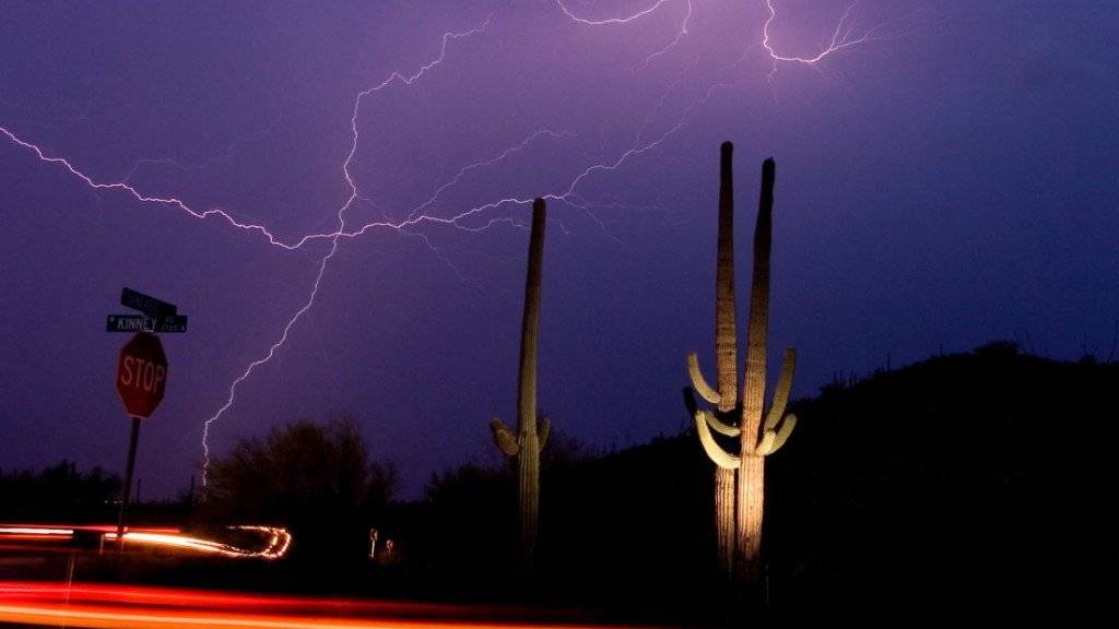 Ein Saguaro-Kaktus in einem Gewitter in Arizona (USA). Diese Kakteen werden bis zu 18 Meter hoch. (Archivbild)